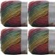 Spinrite Red Heart Unforgettable Yarn Polo Pack of 4 Skein