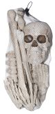Bag Of Bones 12 Assorted Bones