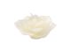 Floating Candles Rose Small Ivory 3 Inches