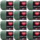 Spinrite Red Heart Super Saver Yarn Light Sage Pack of 12 Skein