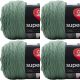 Spinrite Red Heart Super Saver Yarn Light Sage Pack of 4 Skein