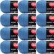 Spinrite Red Heart Super Saver Yarn Delft Blue Pack of 12 Skein