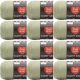 Spinrite Red Heart Super Saver Yarn Frosty Green Pack of 12 Skein