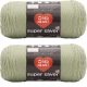 Spinrite Red Heart Super Saver Yarn Frosty Green Pack of 2 Skein