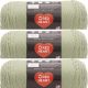 Spinrite Red Heart Super Saver Yarn Frosty Green Pack of 3 Skein