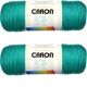 Spinrite Caron Simply Soft Solids Yarn Cool Green Pack of 2 Skein