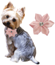Fashion Pet Flower Pet Apparel Accessories Pink M/L