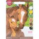 Paint Works Paint By Number Kit 8 inch X10 inch Pony and Mother