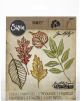 Sizzix Thinlits Dies By Tim Holtz 5 Per Pkg Skeleton Leaves 1 pack of 5 piece