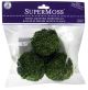 Super Moss Moss Balls 2.5 inch 3 Per Pkg Green