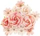 Prima Marketing Mulberry Paper Flowers Sweet Apricot Apricot Honey