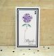 Creative Expressions Craft Dies One Liner Collection Thank You