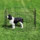 ProSelect Sure Exercise Pens 30 in