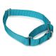 Guardian Gear Nylon Martingale Dog Collars 14-20 in Bluebird