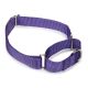 Guardian Gear Nylon Martingale Dog Collars 14-20 in Ultra Violet