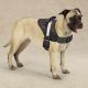 Guardian Gear Excursion Reflective Dog Harnesses L