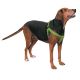 Casual Canine Two-Step Harness 9-15 x 3/8 in Flamingo Pink