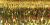 Sulky Metallic Thread 250yd Light Gold