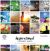 Colorbok 68lb Designer Single Sided Paper 12 Inch X12 Inch 50 Per Pkg Inspirational 25 Designs Per 2 Each