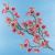 Leisure Arts Diamond Art Intermediate Kit 12 Inch X12 Inch Cherry Blossom
