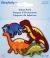 Wrights Iron On Appliques 4 Per Pkg Assorted Dinosaurs