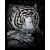 Silver Foil Engraving Art Kit 8 Inch X10 Inch White Tiger