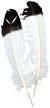 Imitation Eagle Quill Feathers 2 Per Pkg White with Black Tip
