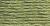 Anchor 6 Strand Embroidery Floss 8.75yd Laurel Green Medium Light 1 Pack of 12 Pieces