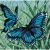 Dimensions Mini Needlepoint Kit 5inchesX5inches Butterfly Duo Stitched In Thread