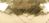 Flat Curling Ribbon .1875 inch X66 Gold Glitter
