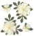 Jolee s Boutique Dimensional Stickers Vanilla Flowers