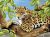 Junior Large Paint By Number Kit 15.25 Inch X11.25 Inch Leopard In Tree