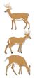 Jolee s By You Dimensional Stickers Deer
