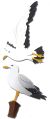 Jolee s By You Dimensional Stickers Seagulls