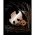 Copper Foil Engraving Art Kit 8 inch X10 inch Panda and Baby