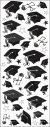 Sticko Dimensional Stickers Graduation