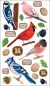 Sticko Stickers Top U.S. Birds 2