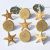 Eyelet Outlet Shape Brads 12 Per Pkg Seashore