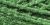 Cottage Mills Craft Yarn 20yd Christmas Green Pack of 1 Skein