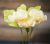 Extra Fine Crepe Paper 19.6 Inch X78.7 Inch Chiffon