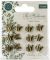 Craft Consortium The Herbarium Metal Charms 12 Per Pkg Brass Watering Can