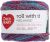 Red Heart Roll With It Melange Yarn Gossip Pack of 1 Skein