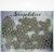 Scrapaholics Laser Cut Chipboard 1.8mm Thick Honeycomb Pieces 6 Per Pkg 1.5 inch 3.5 inch 
