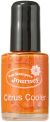 Spellbinders FSJ Silks Ink .5oz Citrus Cooler