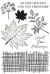 Kaisercraft Clear Stamp 6 inch X4 inch Fallen Leaves