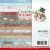 Find It Trading Yvonne Creations Paper Pack 6 Inch X6 Inch 23 Per Pkg Christmas Village Double Sided