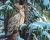 Paint Works Paint By Number Kit 20 Inch X16 Inch Great Horned Owl