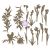 Sharon Viv Chipboard Die Cuts Bloom 13 Per Pkg