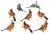 Eyelet Outlet Shape Brads 12 Per Pkg Female Cardinal