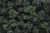 Woodland Scenics Forest Blend Bushes